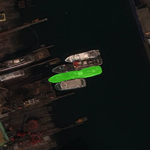 Prompted instance mask in green